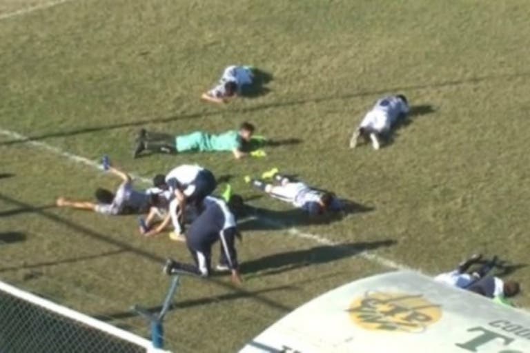 Una invasión de abejas interrumpió un partido — Jujuy