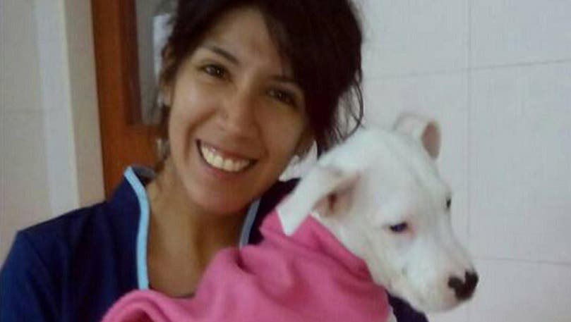 Tragedia aérea: Sin sobrevivientes se investigan las causas del accidente