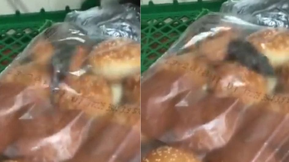 Dos ratones corretean sobre las hamburguesas de un reconocido lugar