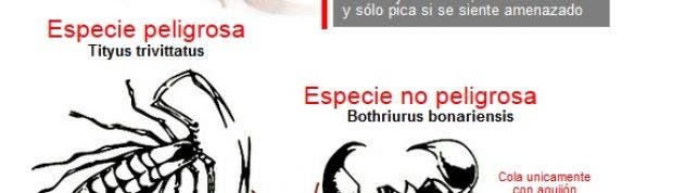 nota