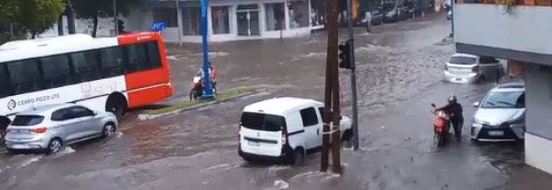 nota