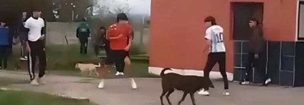 nota