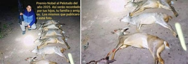 nota