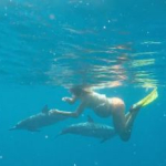 Embarazada planea dar a luz en el mar rodeada de delfines