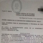 LEALO PRIMERO EN CONTEXTO: NULIDAD DE LA ELECCION PARA TODOS LOS CARGOS Y NUEVOS COMICIOS EN TUCUMAN
