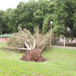 Los vientos huracanados que azotaron el sur tucumano causaron estragos