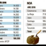 Tucumán lideró el consumo de bolsas de cemento en el Noroeste
