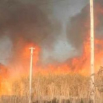 Quema de cañaverales: en Ranchillos temen que el fuego llegue a las casas
