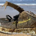 ¿Por qué cientos de calzados deportivos están apareciendo en las playas del Atlántico?