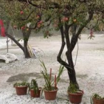 VIDEO Y FOTOS: Un temporal de granizo cubrió a la localidad de El Rodeo