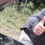 Este intendente encontró una enorme serpiente bajo el capó de su auto