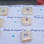 Operativo Lapacho: secuestran más de 13 kilos de cocaína por $ 60 millones