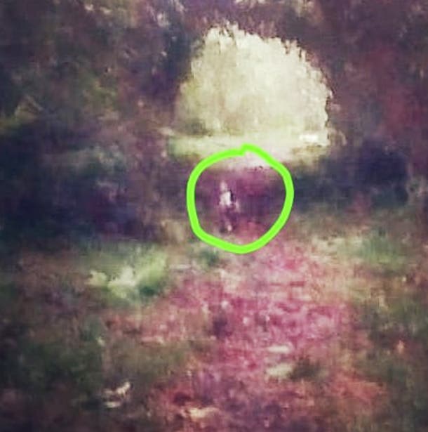 Apareció El Duende del Taficillo | Contexto Tucumán