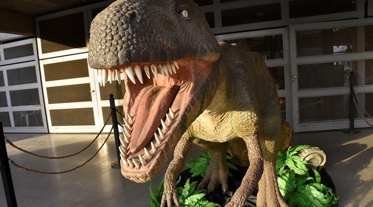 En Educatec los dinosaurios viven, caminan, rugen y hasta bailan cumbia | Contexto Tucuman En Educatec los dinosaurios viven, caminan, rugen y hasta bailan cumbia | Contexto Tucuman