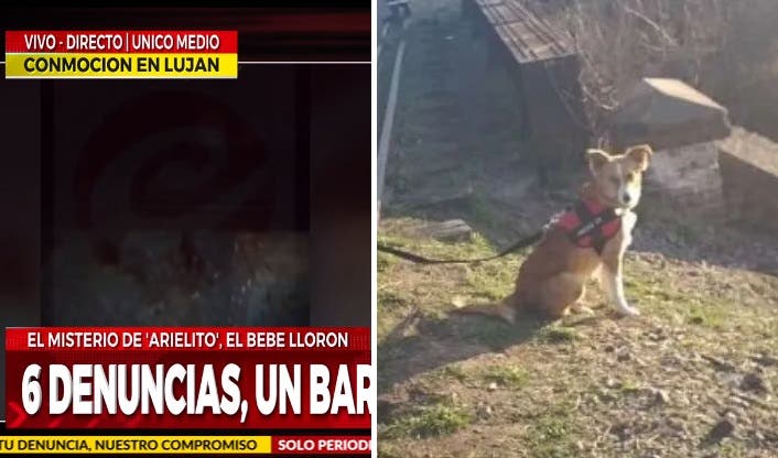 arielito el bebe lloron