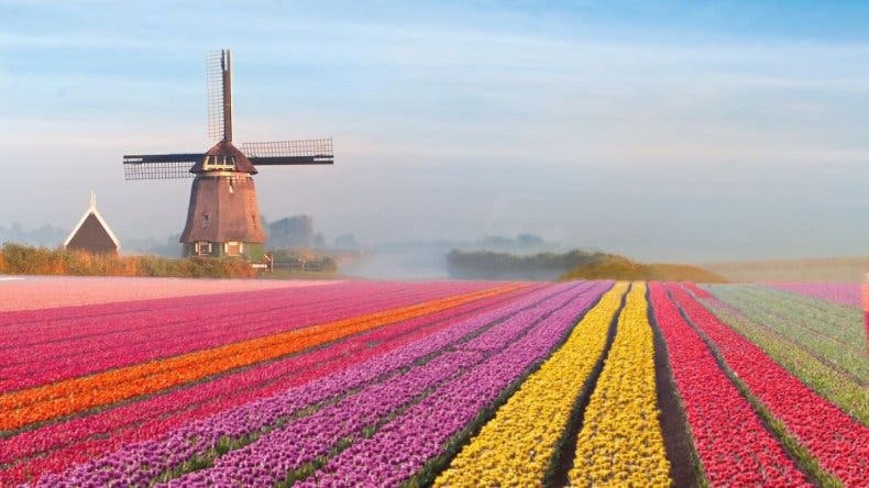 Holanda y otros países que cambiarán de nombre en 2020 | Contexto Tucumán