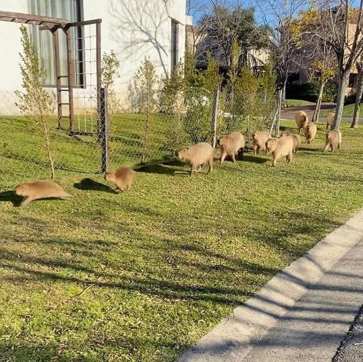 No es la inseguridad lo que más preocupa en la paqueta ...