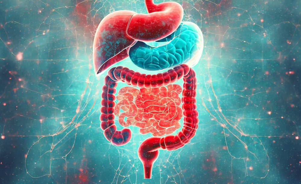 Cómo mejorar tu salud digestiva: 4 consejos efectivos para una flora intestinal equilibrada